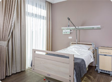 Palata-VIP2 Palata-VIP2